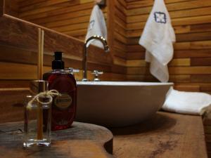 a bathroom with a sink and a bottle of soap at Fazenda Capuava in Bananal