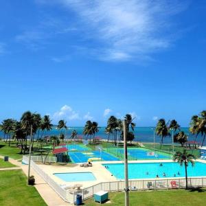 a large swimming pool with palm trees and the ocean at Ocean Zen in Fajardo