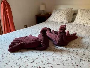 Zdjęcie z galerii obiektu Bedroom Medanomar 1 w mieście El Médano