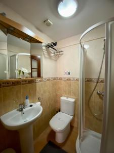y baño con aseo, lavabo y ducha. en Bedroom Medanomar 1, en El Médano