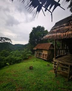 a hut with a grass roof on a field at Orangutan Trekking Lodge in Bukit Lawang