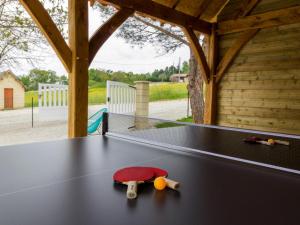 a ping pong table with a toy turtle on it at Gîte Cendrieux, 4 pièces, 6 personnes - FR-1-616-68 in Cendrieux