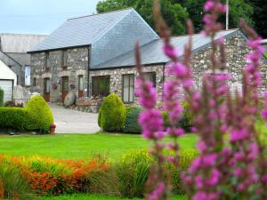 ein Steinhaus mit rosa Blumen davor in der Unterkunft Polhilsa Farm in Callington