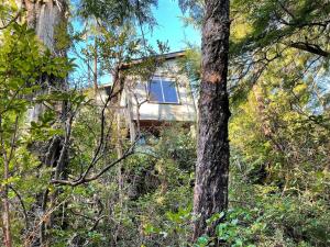 a house in the middle of the forest at Brown's Beach Guest Suite in Ucluelet
