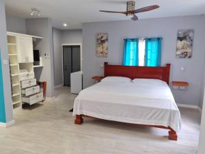 a bedroom with a large bed and a ceiling fan at Coconut Creek Apartments Beautiful Spacious Studio in Hyde Park