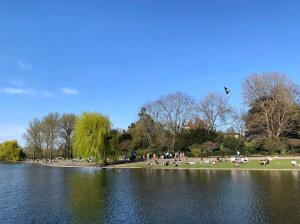 een groep mensen op het gras bij een meer bij اسكن في وسط مدينة لندن الكبرى Live in the midst of the sights اسكن في وسط مدينة لندن الكبرى in Londen