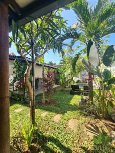 a yard with palm trees and a house at The Jungle House in Canggu