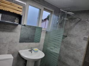 ein Bad mit einem Waschbecken, einer Dusche und einem WC in der Unterkunft Amy House in Jeju-do