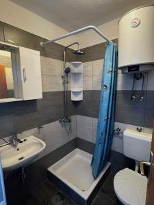 a bathroom with a shower and a sink and a toilet at Apartments Dalibor - 5m from the sea with parking in Lukovo Šugarje