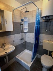 a bathroom with a shower and a toilet and a sink at Apartments Dalibor - 5m from the sea with parking in Lukovo Šugarje