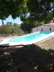 an empty swimming pool in a yard under a tree at Casa Ana Tanti in Tanti