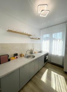 uma cozinha com um lavatório e uma bancada em Buddha's apartment em Cluj-Napoca