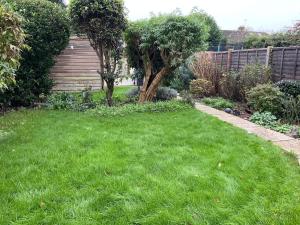 a yard with green grass and a fence and a tree at Warm and cosy city centre home near train station in Chichester