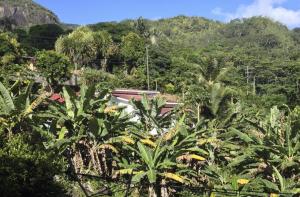 Gallery image of Papaya Guesthouse in Mahe