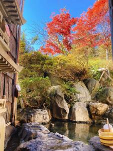 Paesaggio naturale nelle vicinanze del ryokan