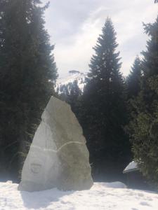 Příroda nedaleko apartmánu + 19 fotografií