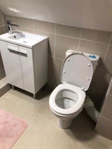 a bathroom with a white toilet and a sink at Apartmány u vleku - Podkrovní apartmán in Karlova Studánka