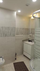 bagno con doccia, lavandino e servizi igienici di Serge le belge sejour chez l habitant a Lézignan-Corbières