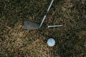 un palo de golf y una pelota en la hierba en Beach & Bay Stay Motel, en Callala Beach