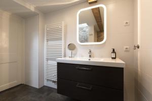 uma casa de banho com um lavatório e um espelho em d' âld skoalle - Sfeervol appartement in oude school. em Wijtgaard
