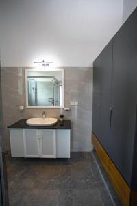 uma casa de banho com um lavatório e um espelho em The Greens Luxury Boutique Villa em Karagampitiya