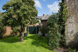 a garden with a tree and a chair in the yard at d' âld skoalle - Sfeervol appartement in oude school. in Wijtgaard