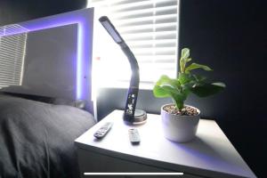 a lamp and a plant sitting on a table next to a bed at Las Vegas Oasis in Las Vegas