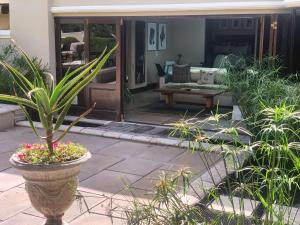 a plant in a pot in front of a house at Kaya La Provence in Cape Town