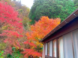Paesaggio naturale nelle vicinanze del ryokan