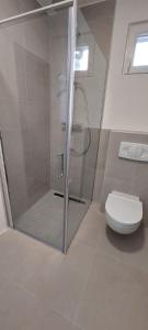een badkamer met een douche en een toilet bij Süßes Gästehäuschen in 1A Lage in Bochum