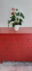 a potted plant sitting on top of a red dresser at Süßes Gästehäuschen in 1A Lage in Bochum