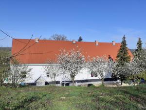 a large white building with an orange roof at Farkas castle 