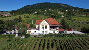 una gran casa blanca en una colina con un viñedo en Lugas Apartman, en Tapolca