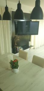 Gallery image of Jurko house 1 in Šabac