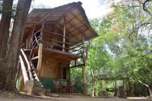 uma casa na árvore no meio de uma floresta em Wilpattu Jungle Resort em Nochchiyagama