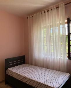 Roeli’s Guest House - Imazhi 12