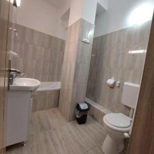 een badkamer met een wastafel, een toilet en een bad bij Apartament1 in Constanţa