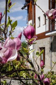 drzewo z fioletowymi kwiatami przed budynkiem w obiekcie Karkonoskie Widoki w mieście Karpacz