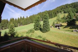 a view from the balcony of a house with a green field and trees at Ferienwohnung Königsleiten 28 - Top 36 in Wald im Pinzgau