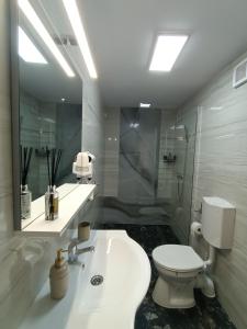 La salle de bains est pourvue de toilettes, d'un lavabo et d'un miroir. dans l'établissement Casa Tiky, à Timişoara