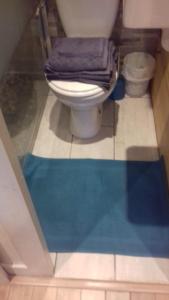 a bathroom with a toilet and a blue rug at SebRem in Megève