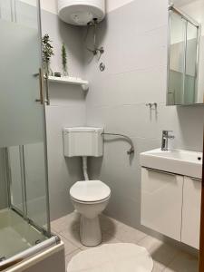 Baño blanco con aseo y lavamanos en Apartments Ivana, en Zubovići