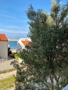 a tree in front of a house and the ocean at Apartments Ivana in Zubovići