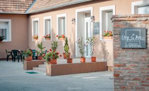 a row of potted plants on the side of a building at City Inn Szigetvar in Szigetvár