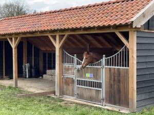 een paard dat zijn hoofd over de schuur steekt bij Overnachting Vanjewelste in Enschede