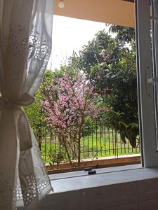 Zahrada ubytování Happy Days Apartment