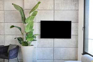 a plant in a room with a tv on a wall at Design 3BR in TLV center by HolyGuest in Tel Aviv