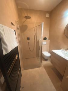 a bathroom with a shower and a toilet at hotel Nautilus in Chodov