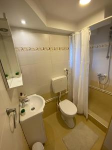 ein Badezimmer mit einem weißen WC und einem Waschbecken in der Unterkunft Apartman MiNa in Mataruška Banja