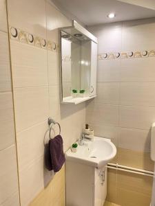 ein Bad mit einem Waschbecken und einem Spiegel in der Unterkunft Apartman MiNa in Mataruška Banja